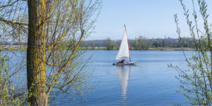 A person on a sailing dinghy on a calm lake with trees visible on both sides of the picture