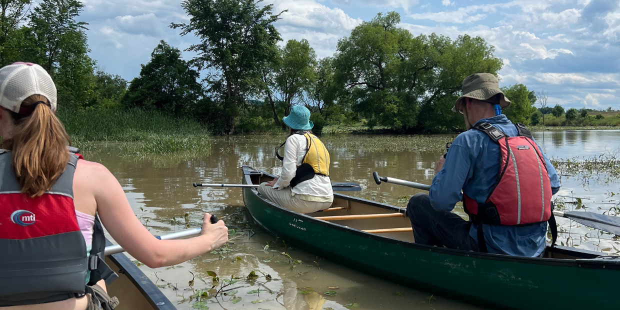 Exploring the Flora of Dead Creek, Flora and Fauna. Credit to Reese Widowski Wide
