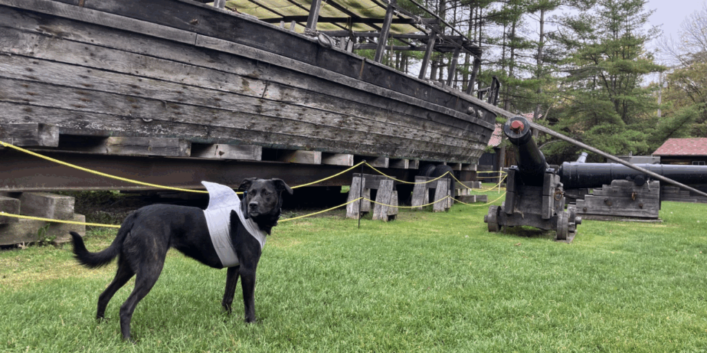 Lilo in a Halloween costume in front of P2 Wide