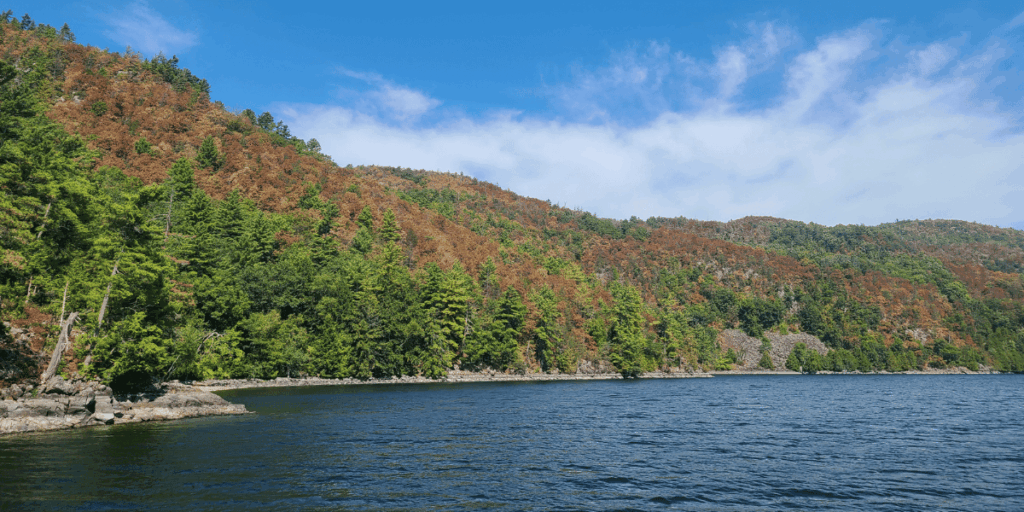 The coast line of Lake Champlain as the leaves start to change
