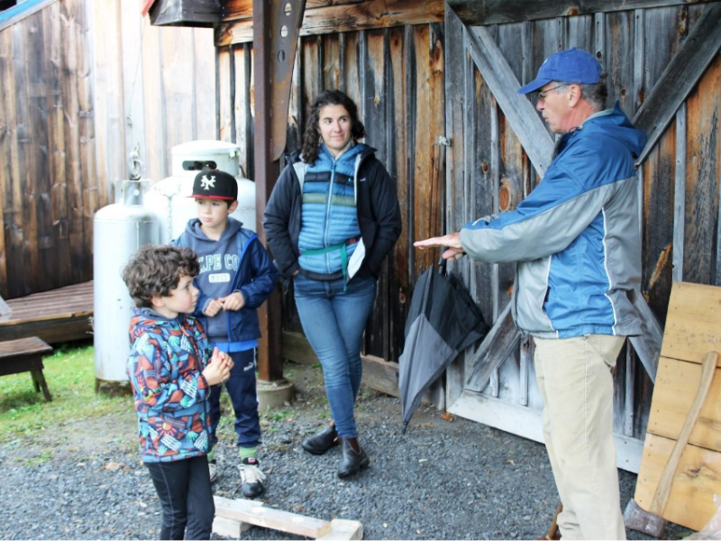 Patriot loyalist game 800x600