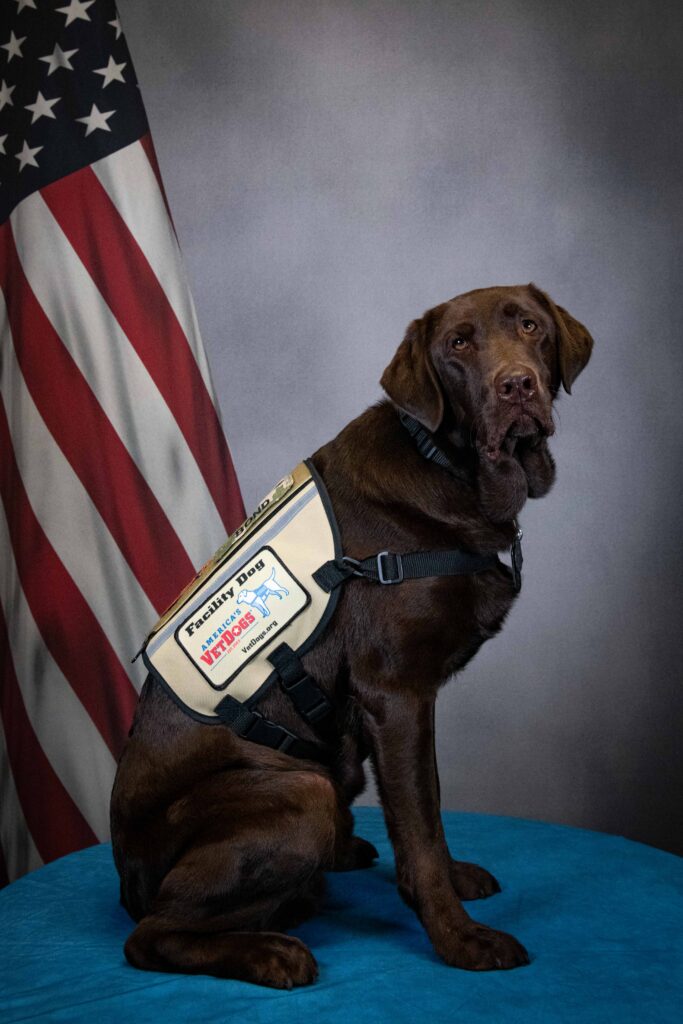 NHHC Celebrates Filipino American History Month Commander Bond PTSD dog with the Navy