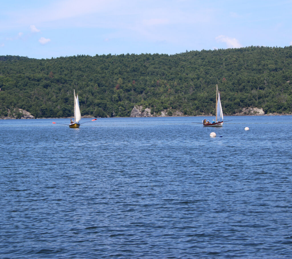 Two sailboats with oars in blue water with green mountains behind them.